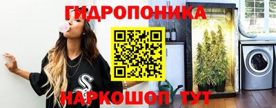 a pvp Гусев