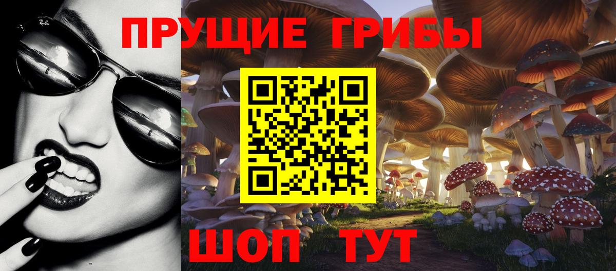 Орёл  цена наркотик  Вход с VPN  Псилоцибиновые грибы GOLDEN TEACHER 
